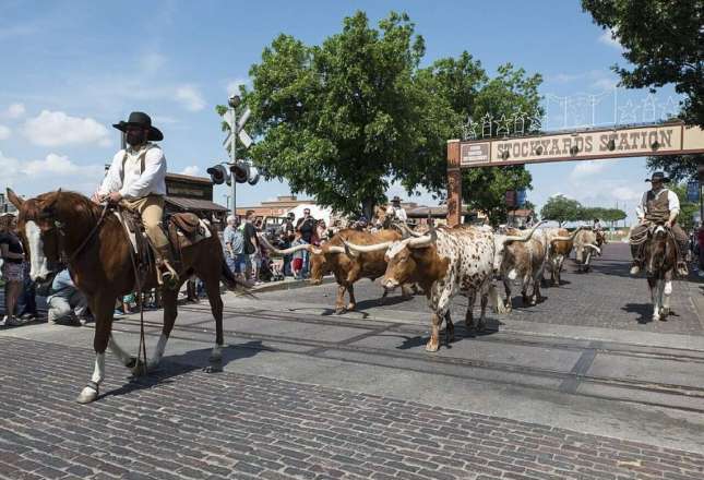 Learn more about Fort Worth
