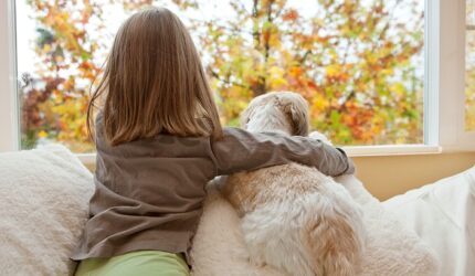 Girl and her dog looking out the window at autumn leaves