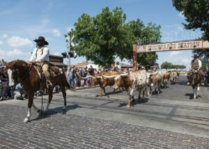 Fort Worth Stockyards, man on horseback with longhorns