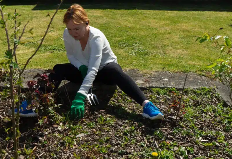 Lady getting flower beds winter-ready